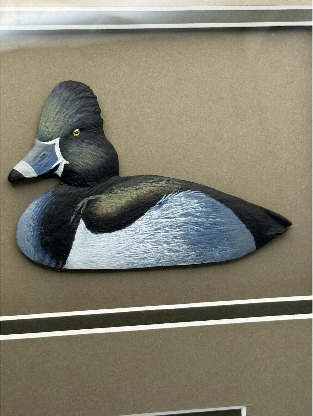 N/A 2009 ducks